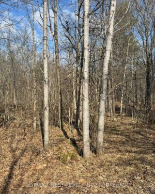 0 California Road, Stone Mills