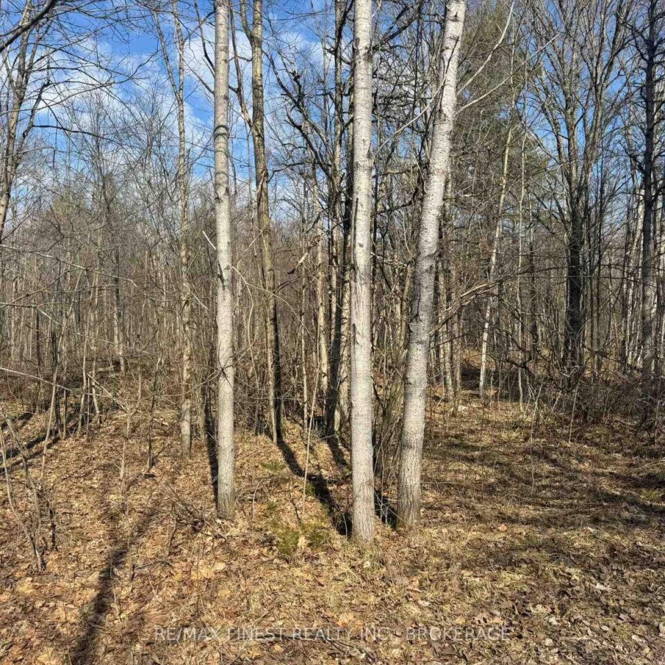 0 California Road, Stone Mills