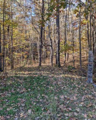 0 Flinton Road, Tweed