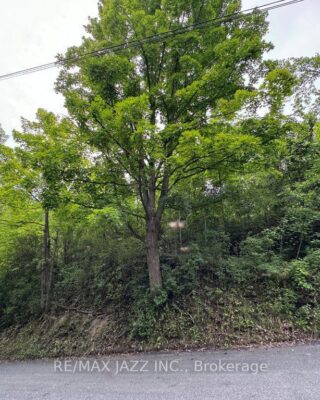 0 Maple Street, Trent Hills