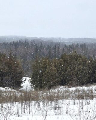 0 Shannonville Road, Tyendinaga