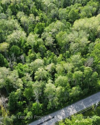 0 Teal (rp 39r9098) Road, Quinte West