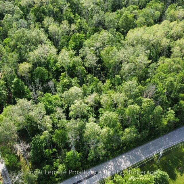0 Teal (rp 39r9098) Road, Quinte West