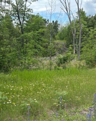 0 Tower Road, Madoc