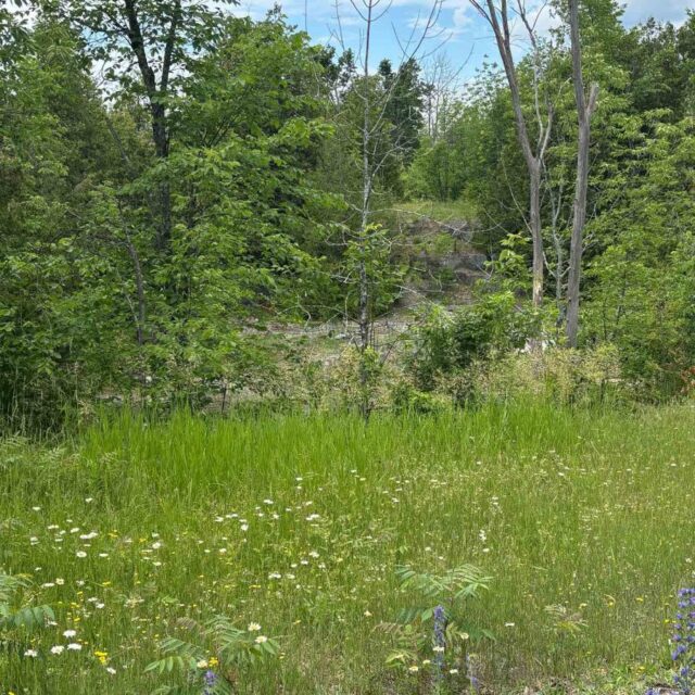 0 Tower Road, Madoc