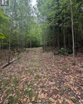 00 Kamaniskeg Lake Road, Hastings Highlands