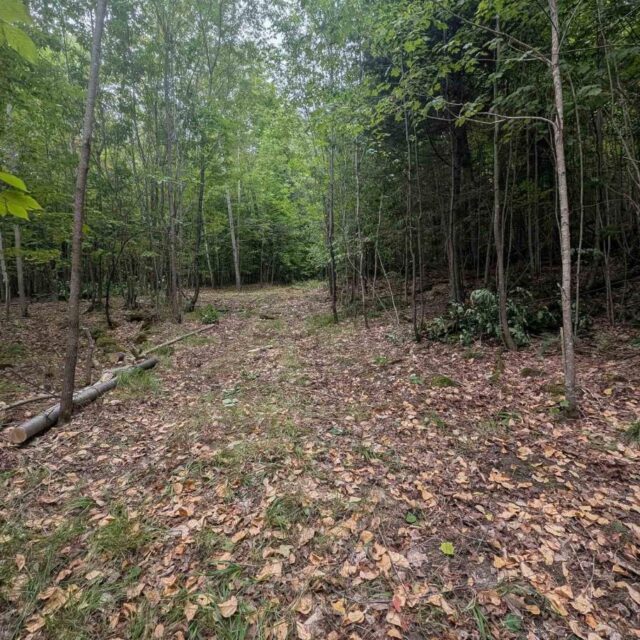 00 Kamaniskeg Lake Road, Hastings Highlands