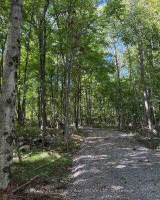 00 Middle Lot Highway 62, Madoc