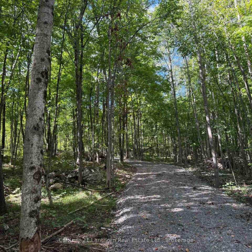00 Middle Lot Highway 62, Madoc