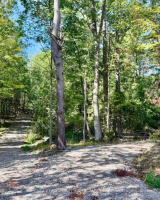 00 North Lot Highway 62, Madoc