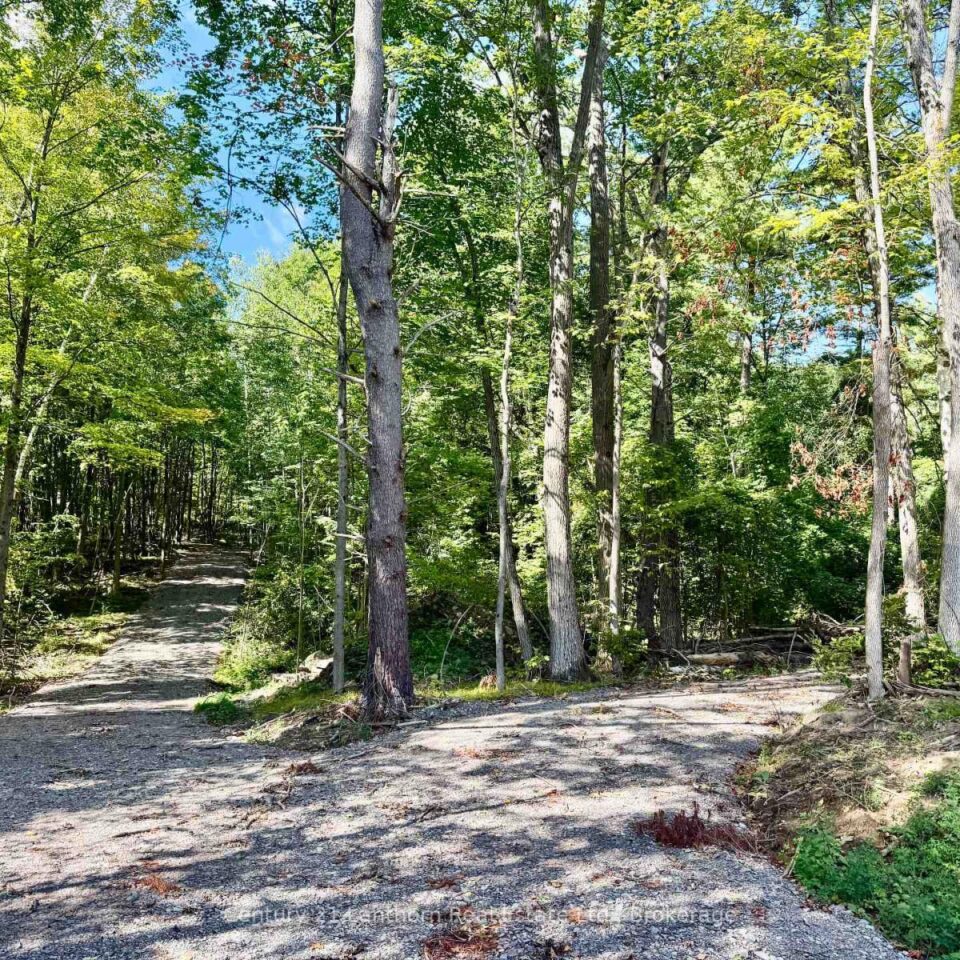 00 North Lot Highway 62, Madoc