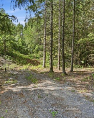 00 Otter Creek Road, Tweed