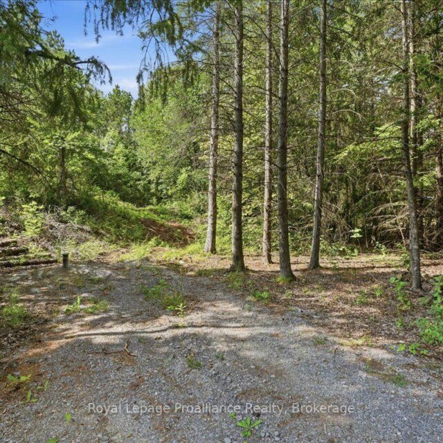 00 Otter Creek Road, Tweed