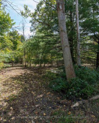 00 Palace Road, Greater Napanee