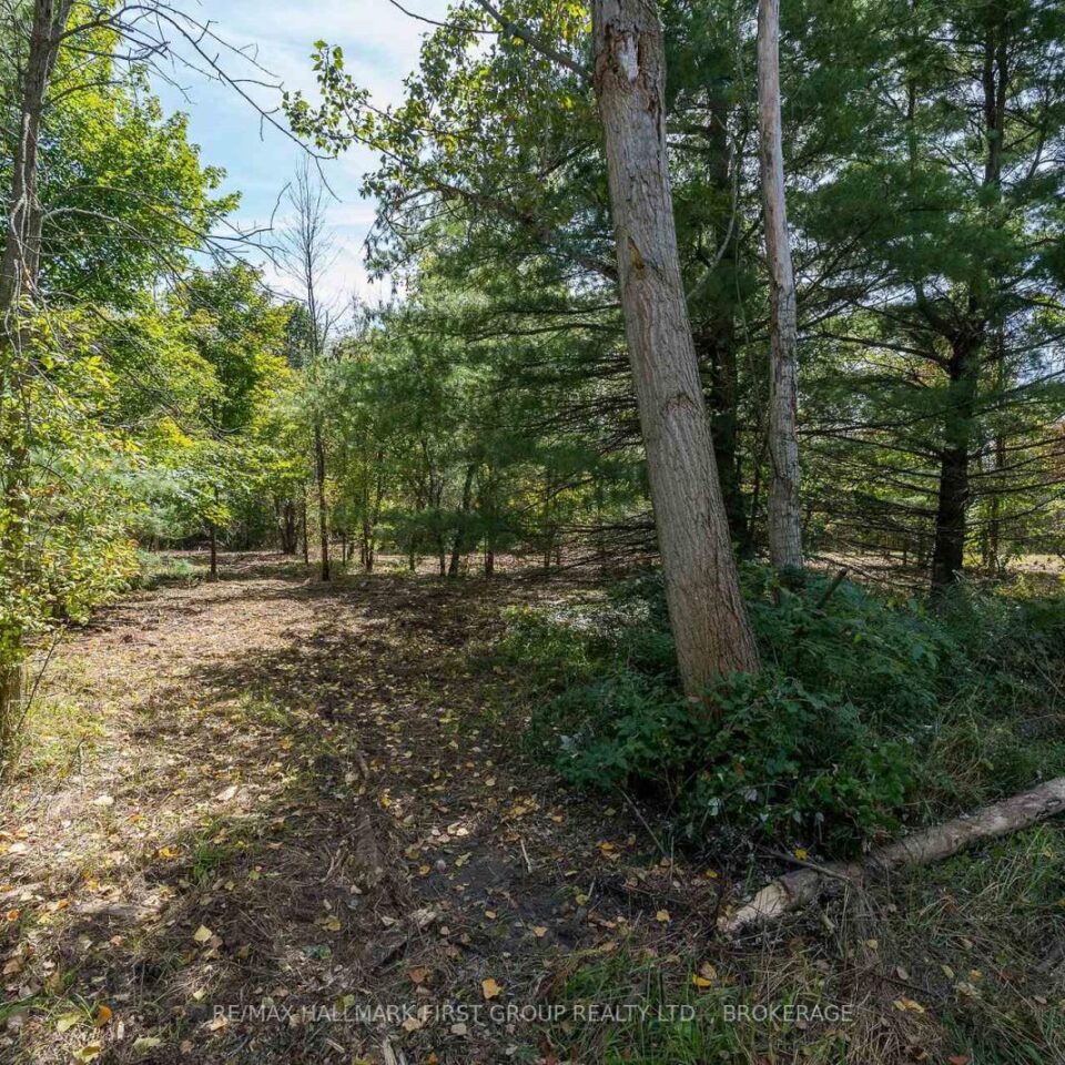 00 Palace Road, Greater Napanee
