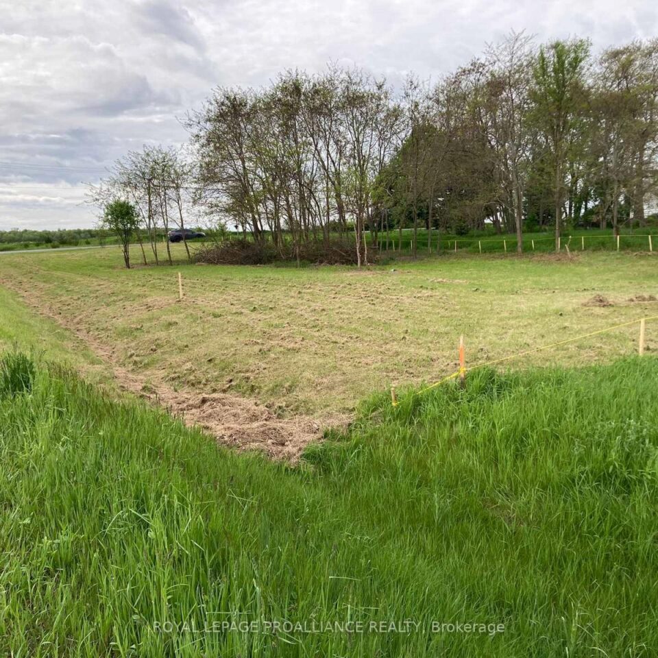 00 South Shore Road, Greater Napanee