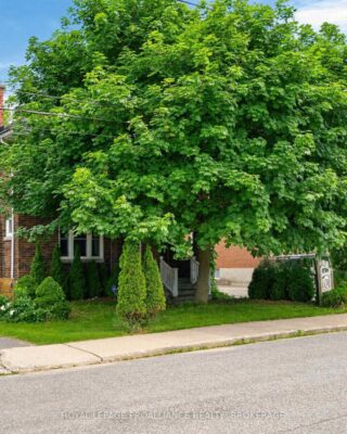 101 Napier Street, Kingston