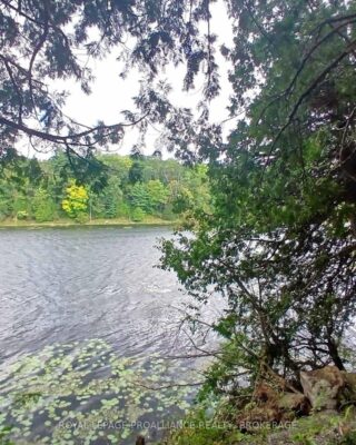 1030 Lodge Lane, Leeds And The Thousand Islands