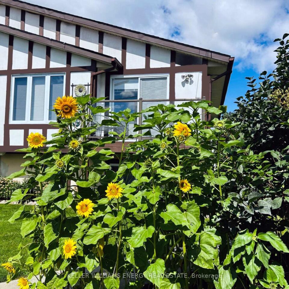 106a Wellington Main Street, Prince Edward County