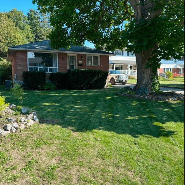 11 Bradley Crescent, Belleville