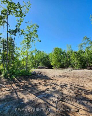 128 Varty Road, Tweed