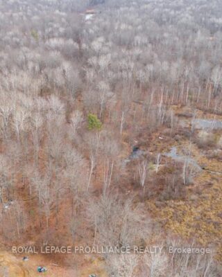 1446 Flinton Road, Tweed