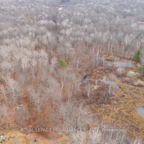 1446 Flinton Road, Tweed