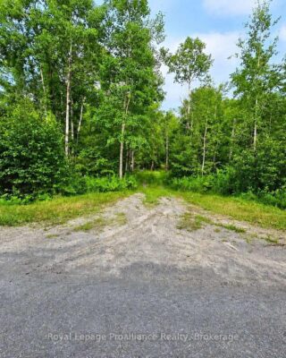 1446 Flinton Road, Tweed