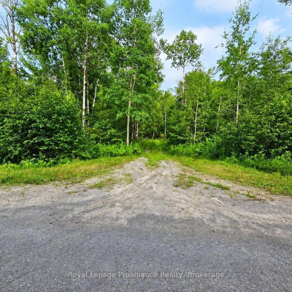1446 Flinton Road, Tweed