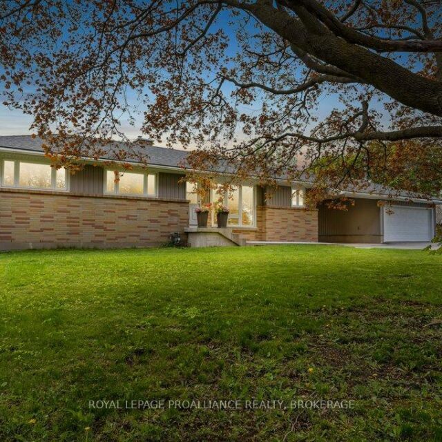 168 Avenue Road, Kingston