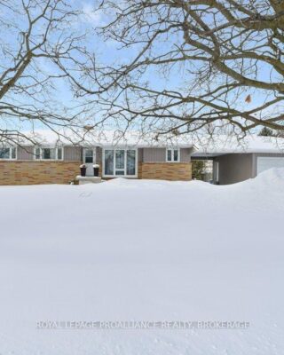 168 Avenue Road, Kingston