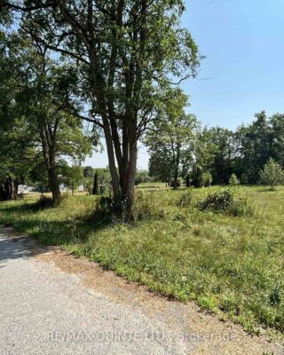 19 Bridge Street, Tyendinaga