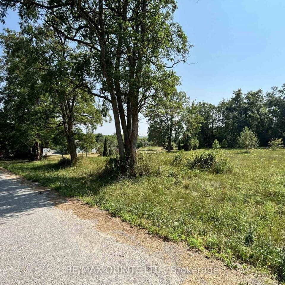 19 Bridge Street, Tyendinaga