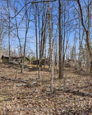 2349 N Baptise Lake Road, Hastings Highlands