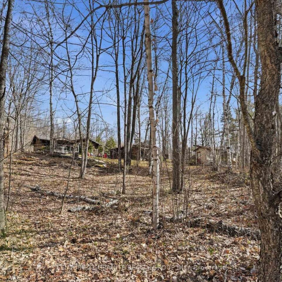 2349 N Baptise Lake Road, Hastings Highlands