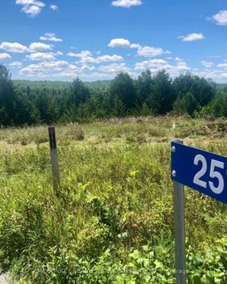 251 Concession Rd 13 E, Trent Hills