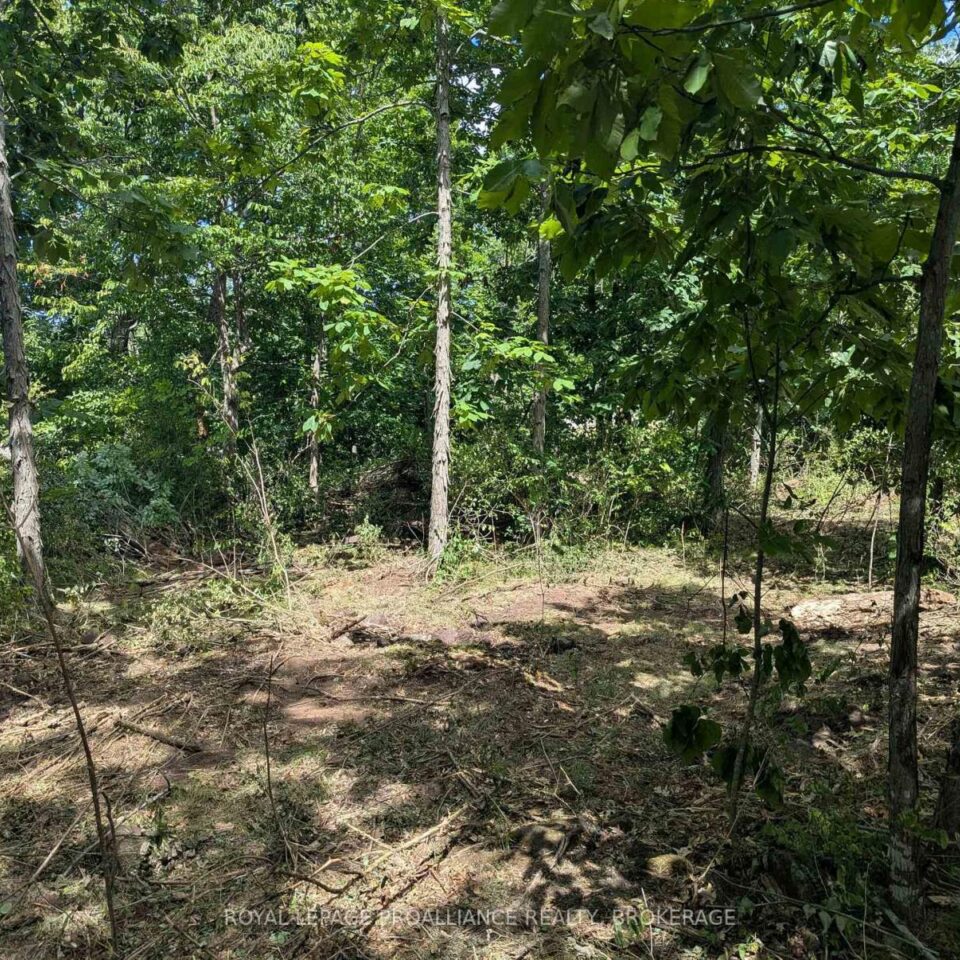 2621 4th Concession Road, Kingston