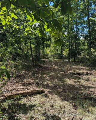 2621 4th Concession Road, Kingston