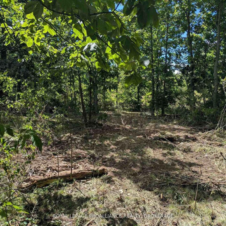 2621 4th Concession Road, Kingston