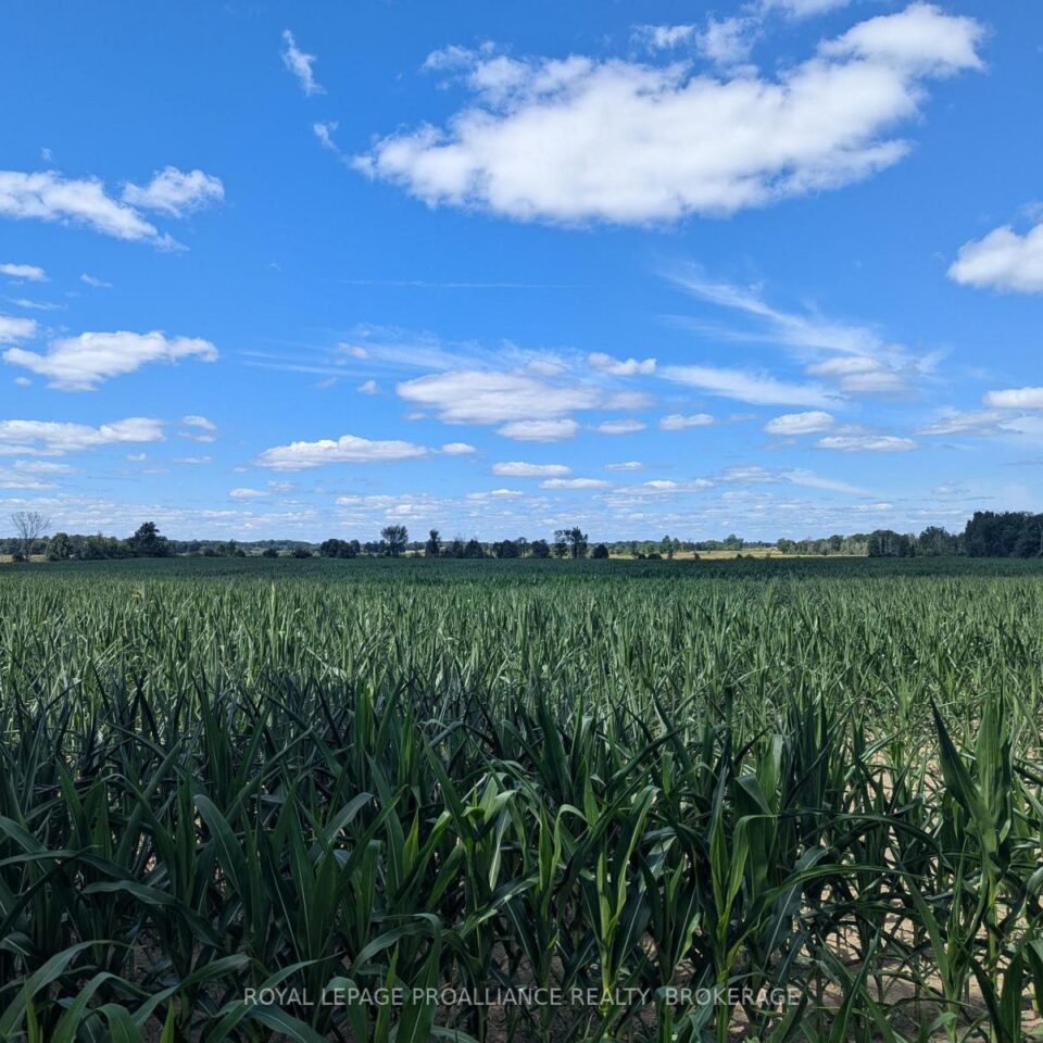 2622 4th Concession Road, Kingston