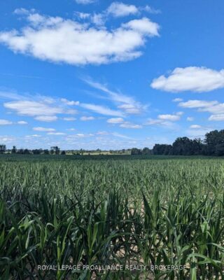 2622 4th Concession Road, Kingston