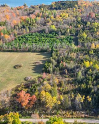 3 Acreman Road, Centre Hastings