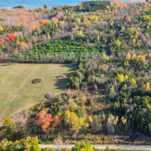 3 Acreman Road, Centre Hastings