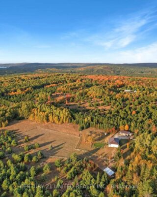 31 Mclean Road, Hastings Highlands