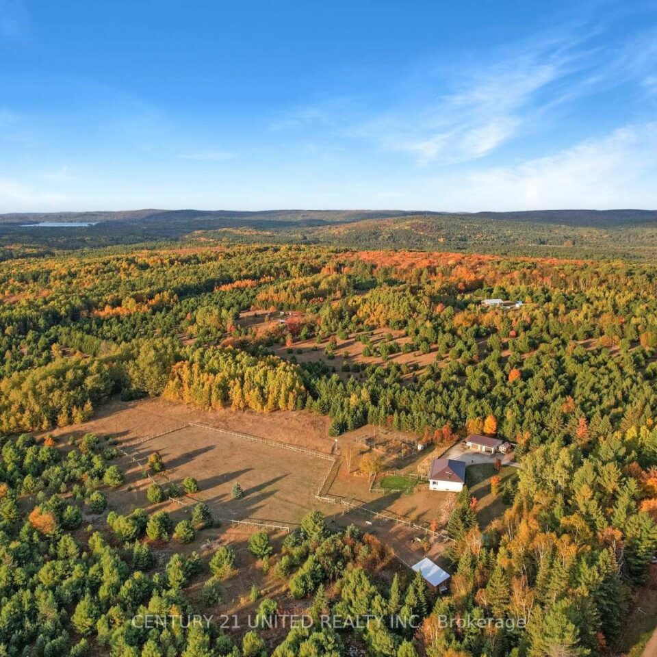 31 Mclean Road, Hastings Highlands