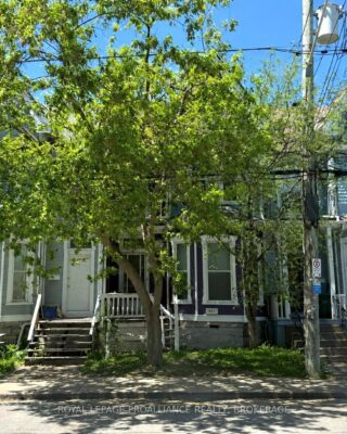 366 Alfred Street, Kingston