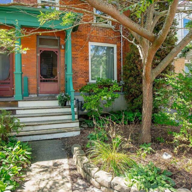 38 York Street, Kingston