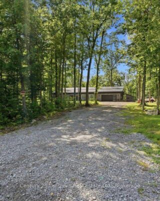 393 Wood Road, Centre Hastings