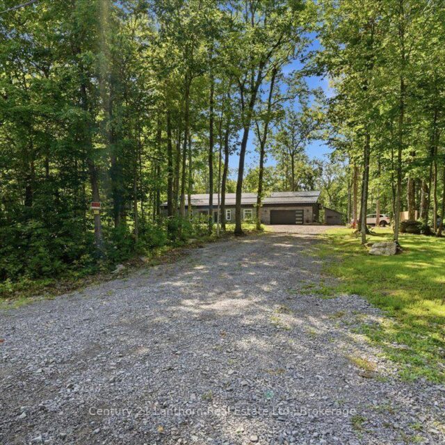 393 Wood Road, Centre Hastings