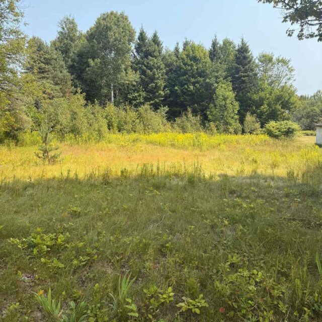 3995 Boulter Road, Hastings Highlands